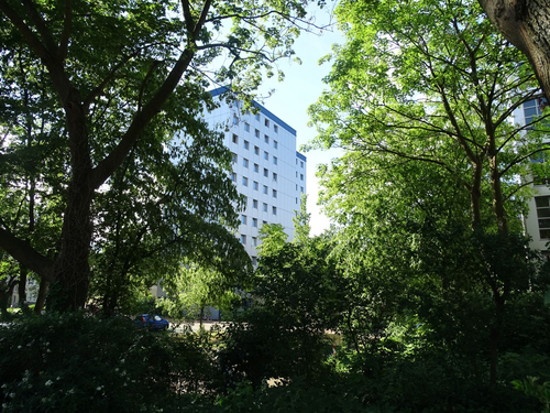 Außenansicht der Dorotheenstraße mit Bäumen 